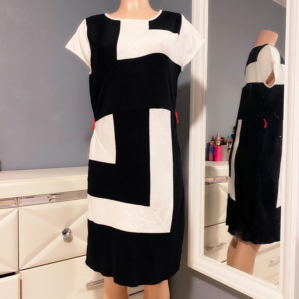 Adrienne Vittadine Colorblock Sweater Dress